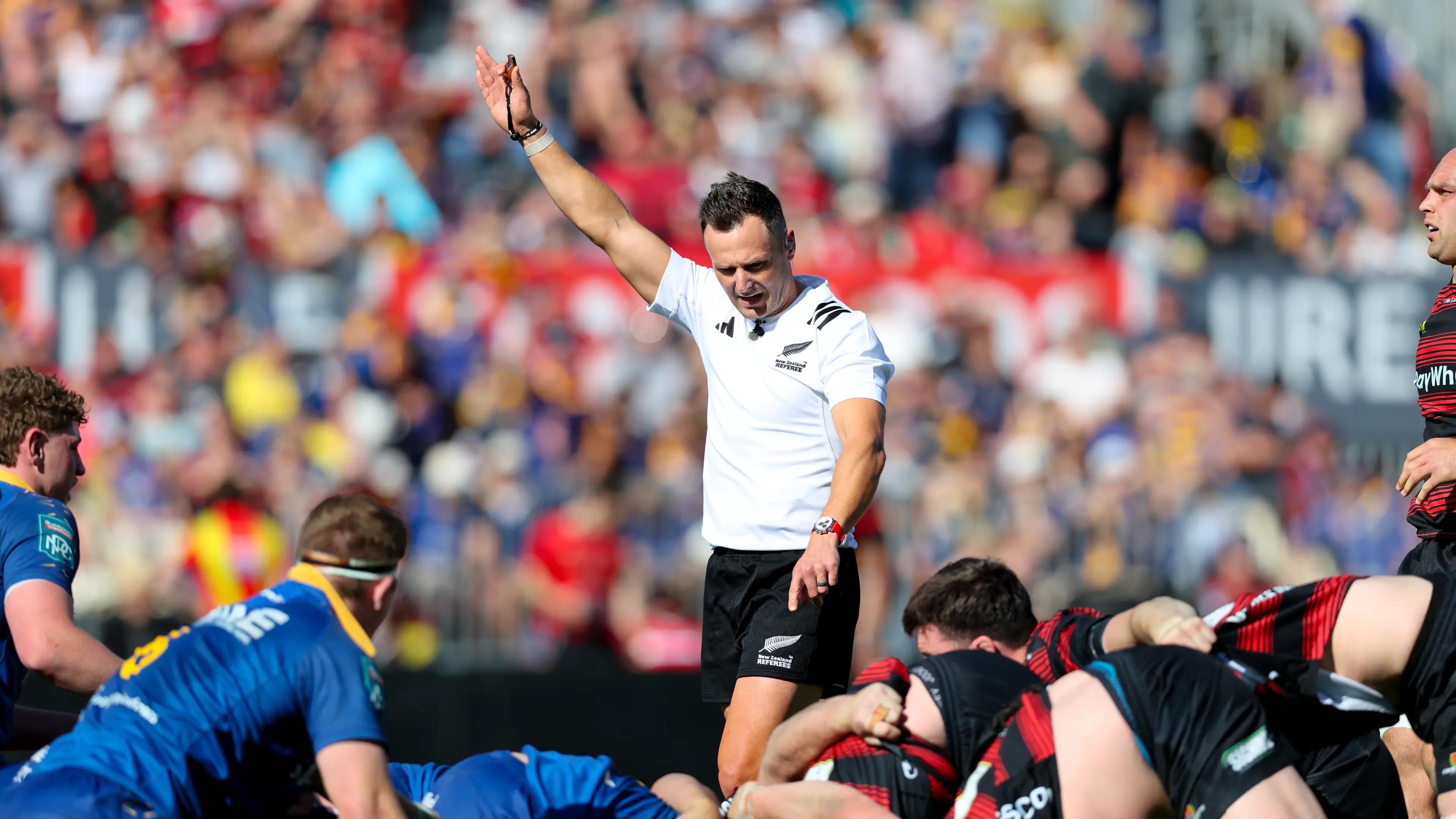 Otago referees dominate domestic appointments