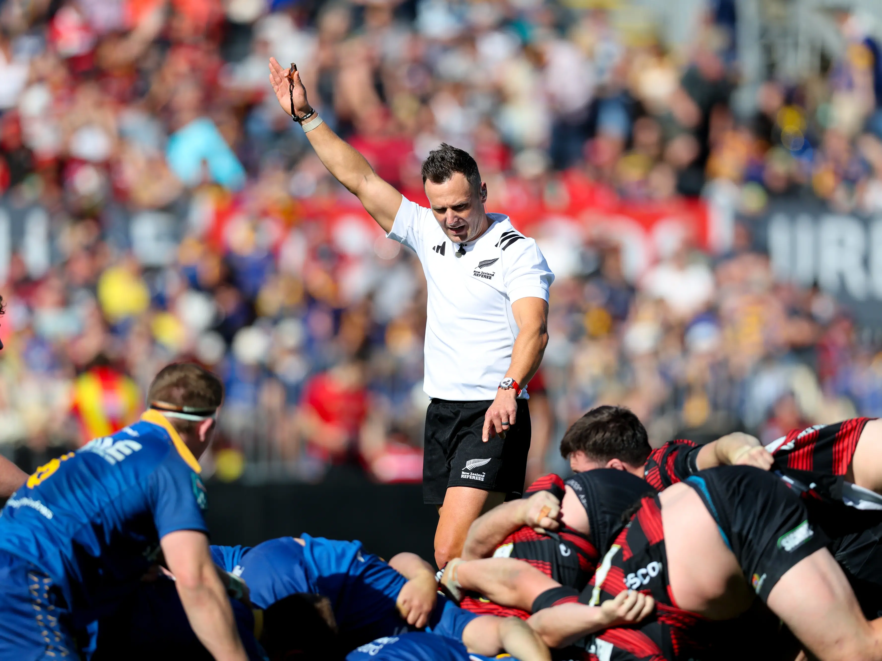 Otago referees dominate domestic appointments