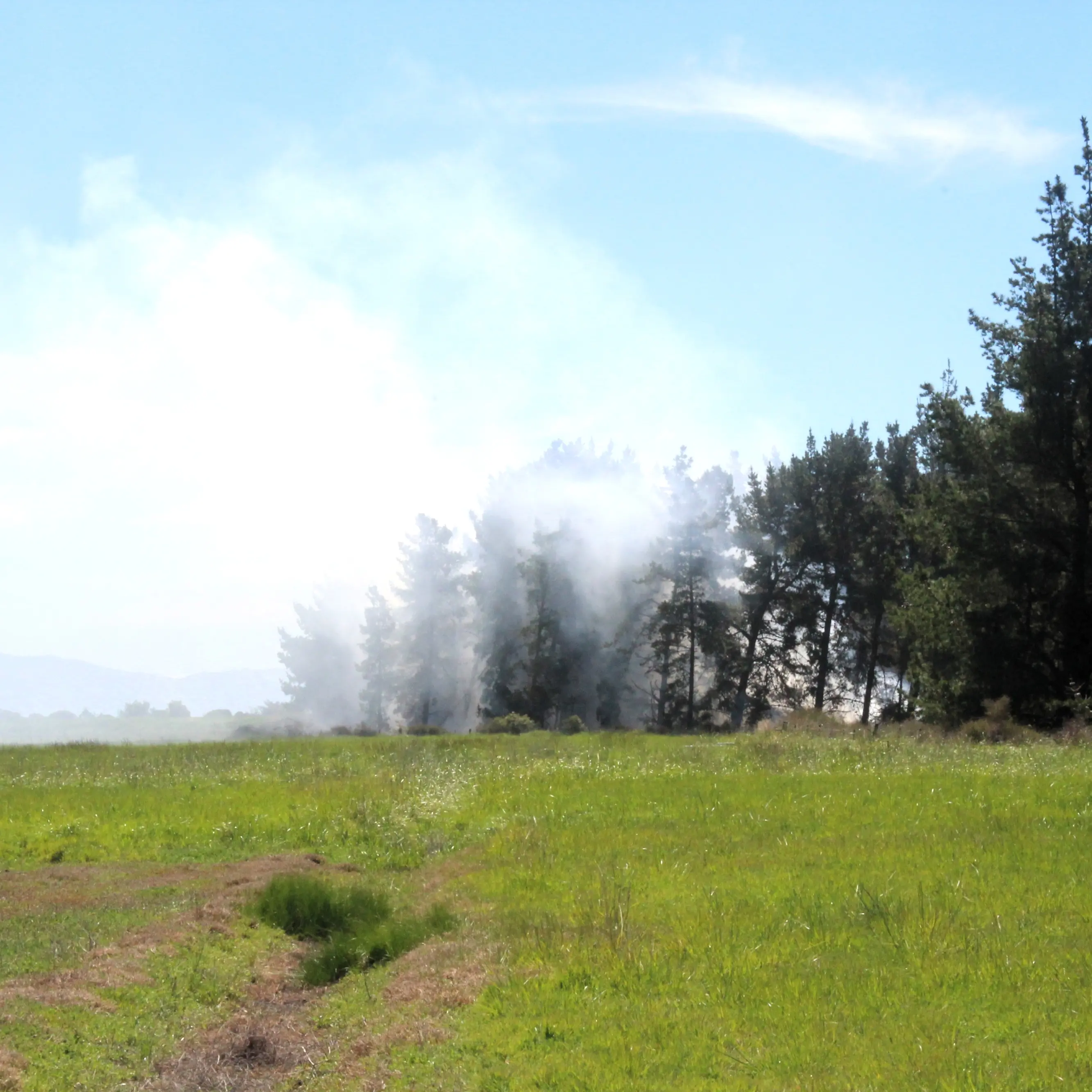 Fire crews tackle vegetation fire in forest