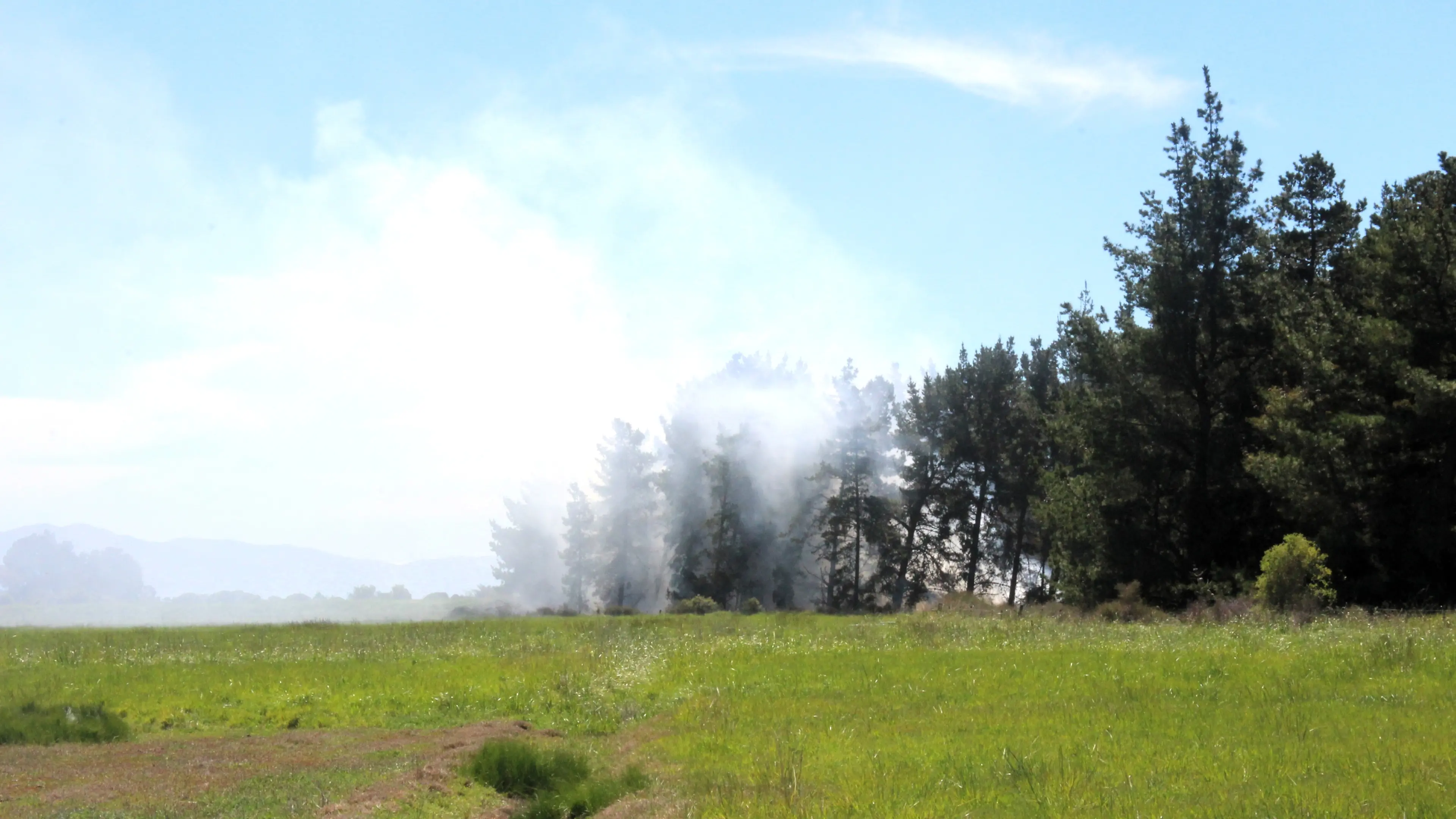 Fire crews tackle vegetation fire in forest