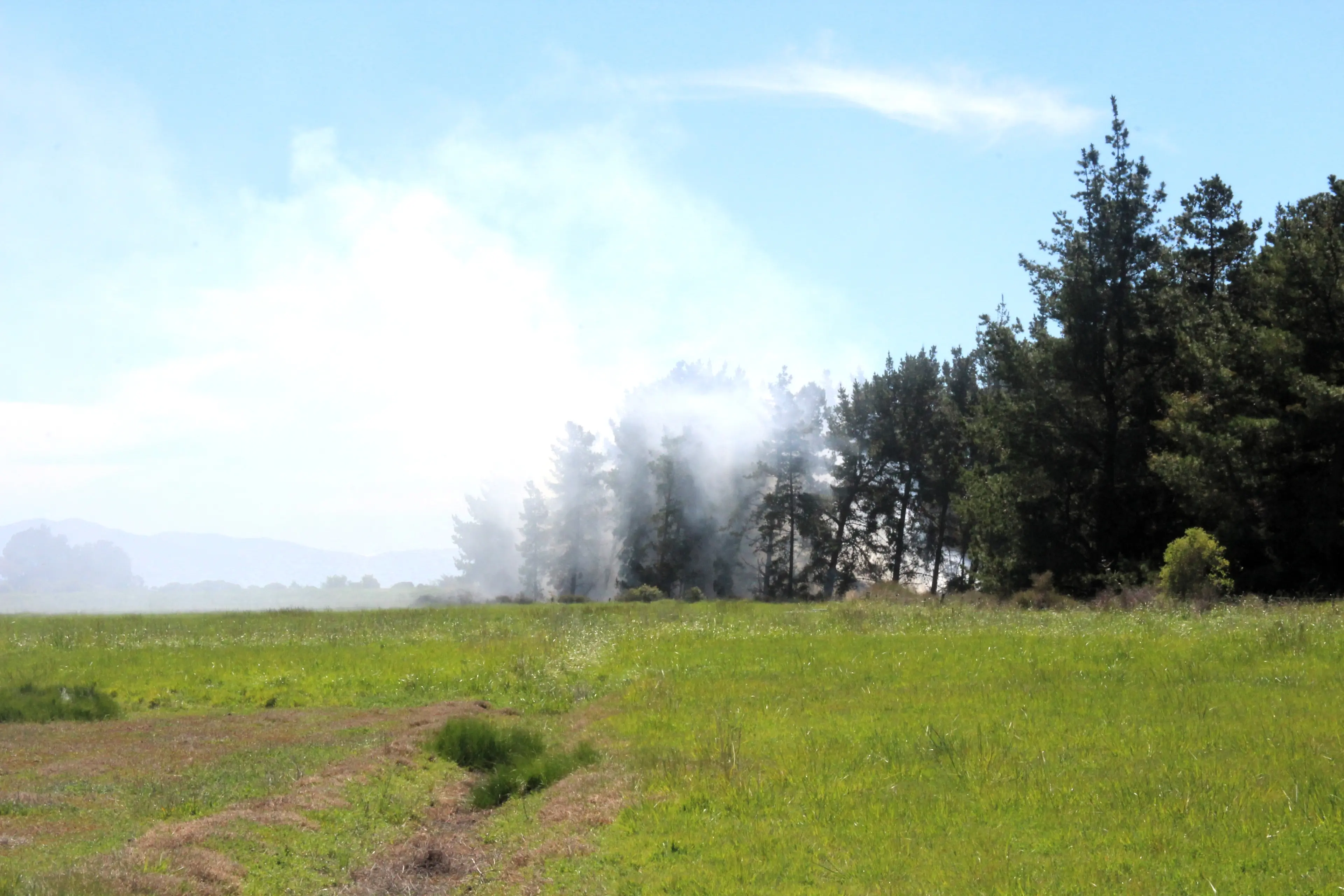 A fire has broken out in a forest near Blenheim. Photo: Paula Hulburt.