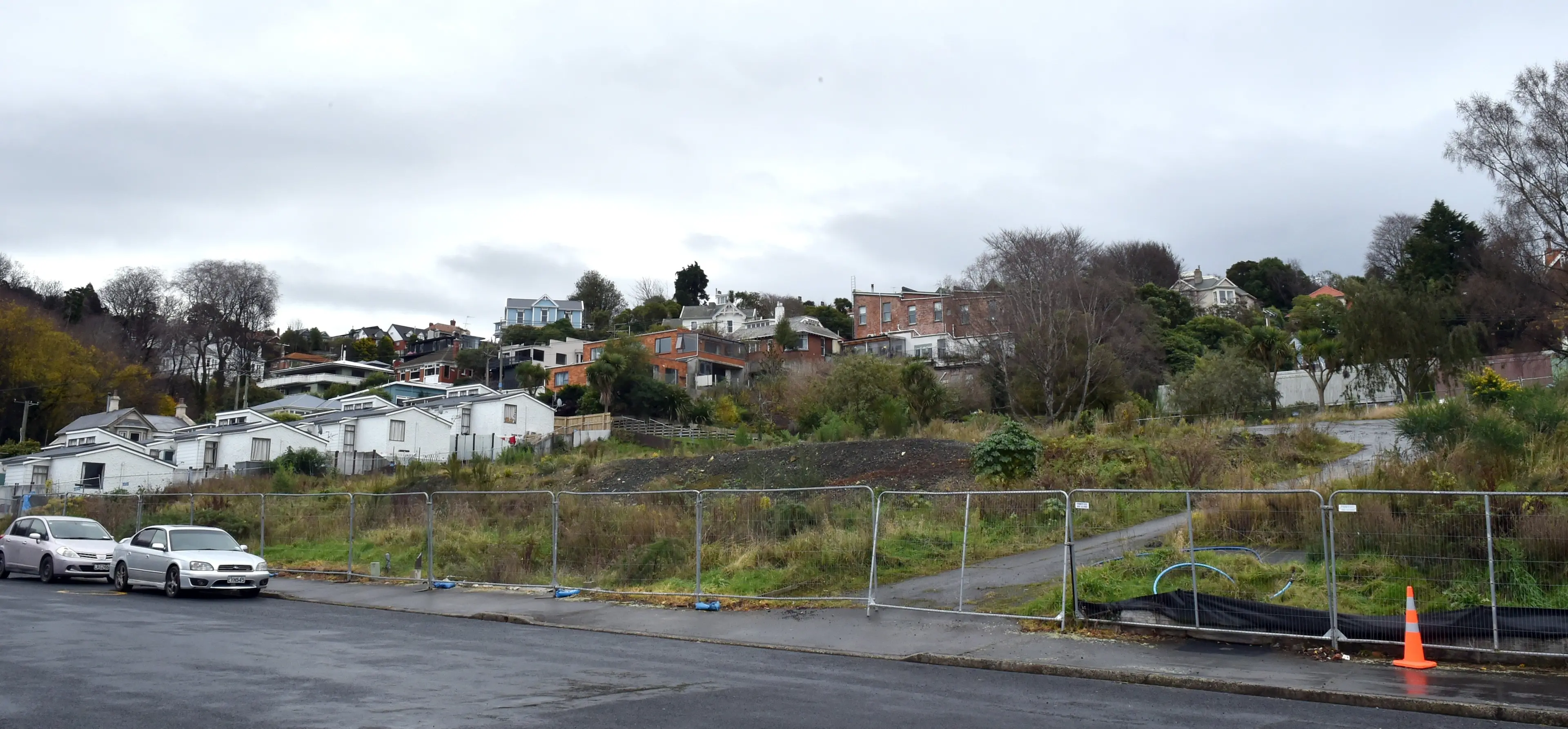 The deserted lot on Carroll St, where a previously-planned Kainga Ora development has been stalled. PHOTO: Gregor Richardson