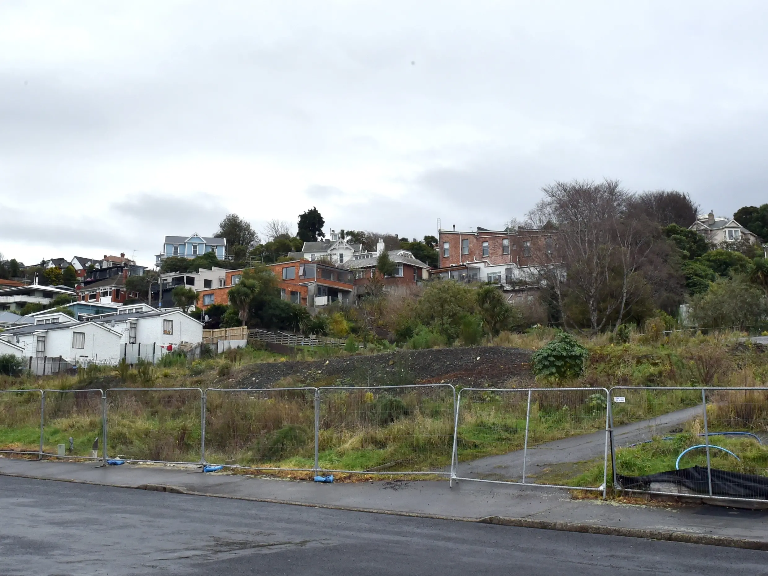 The deserted lot on Carroll St, where a previously-planned Kainga Ora development has been stalled. PHOTO: Gregor Richardson