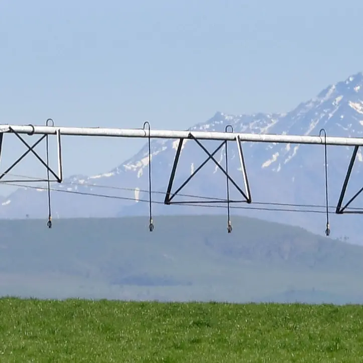 Irrigation brings a future to North Otago after years of dust and drought