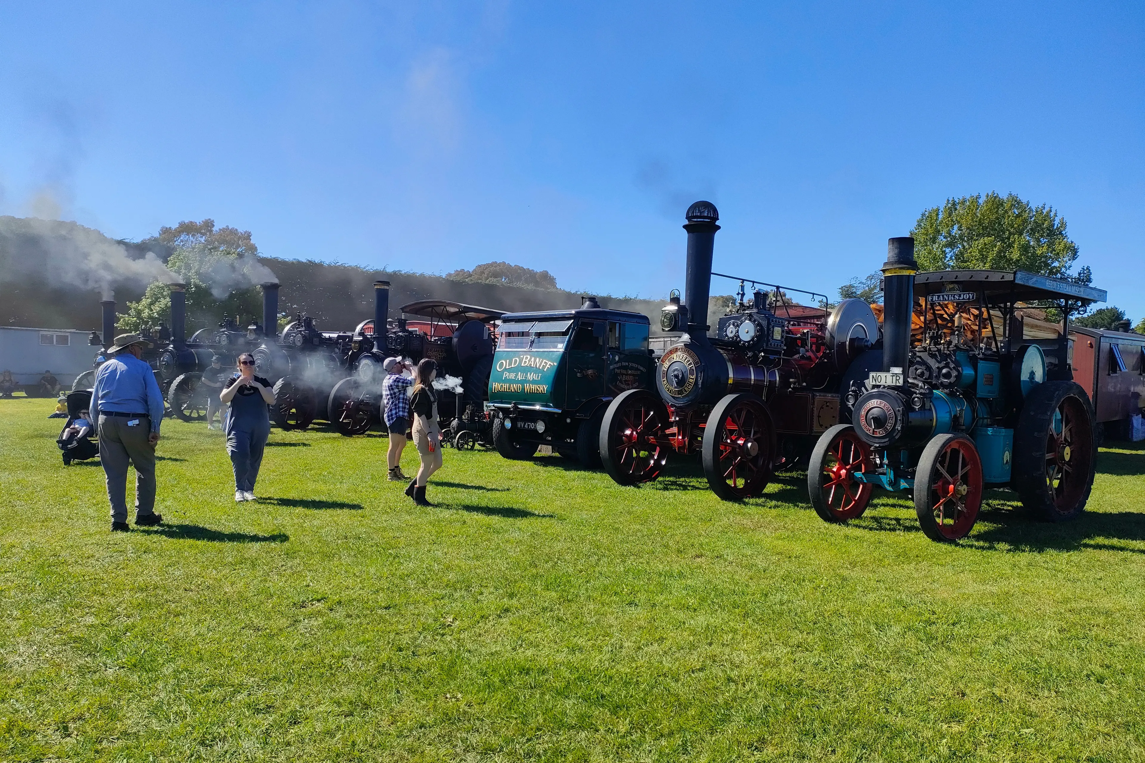 Machines from yesteryear . . . A line up of traction engines, which were part of a large vintage machinery display.