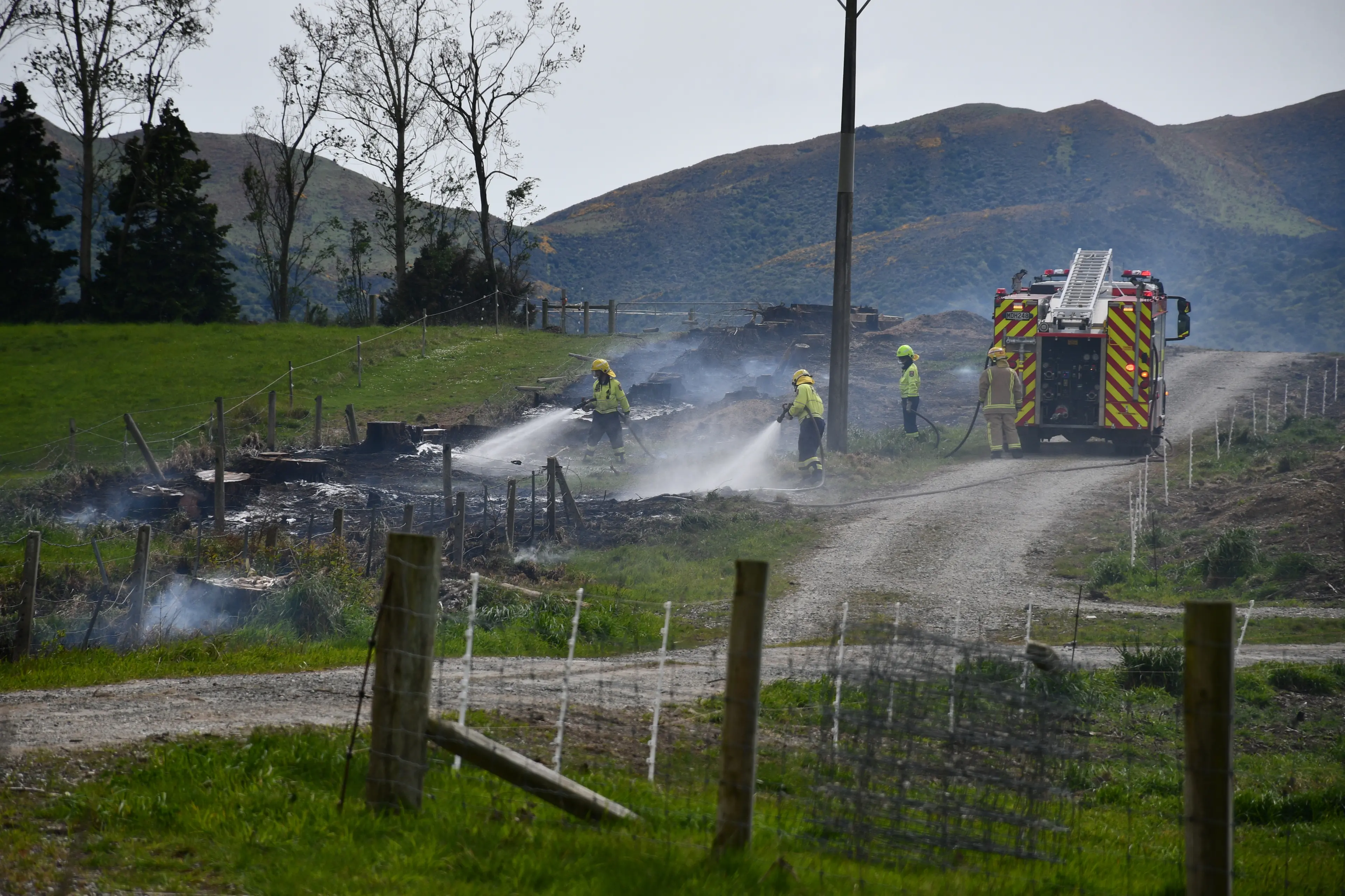 A hedge was set alight after a grass fire spread when power lines fell near Waimumu on Monday afternoon. Photo: Gemma Sinclair