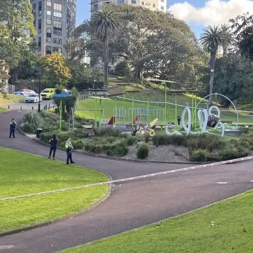 Man charged with attempted murder after child assaulted in Auckland playground