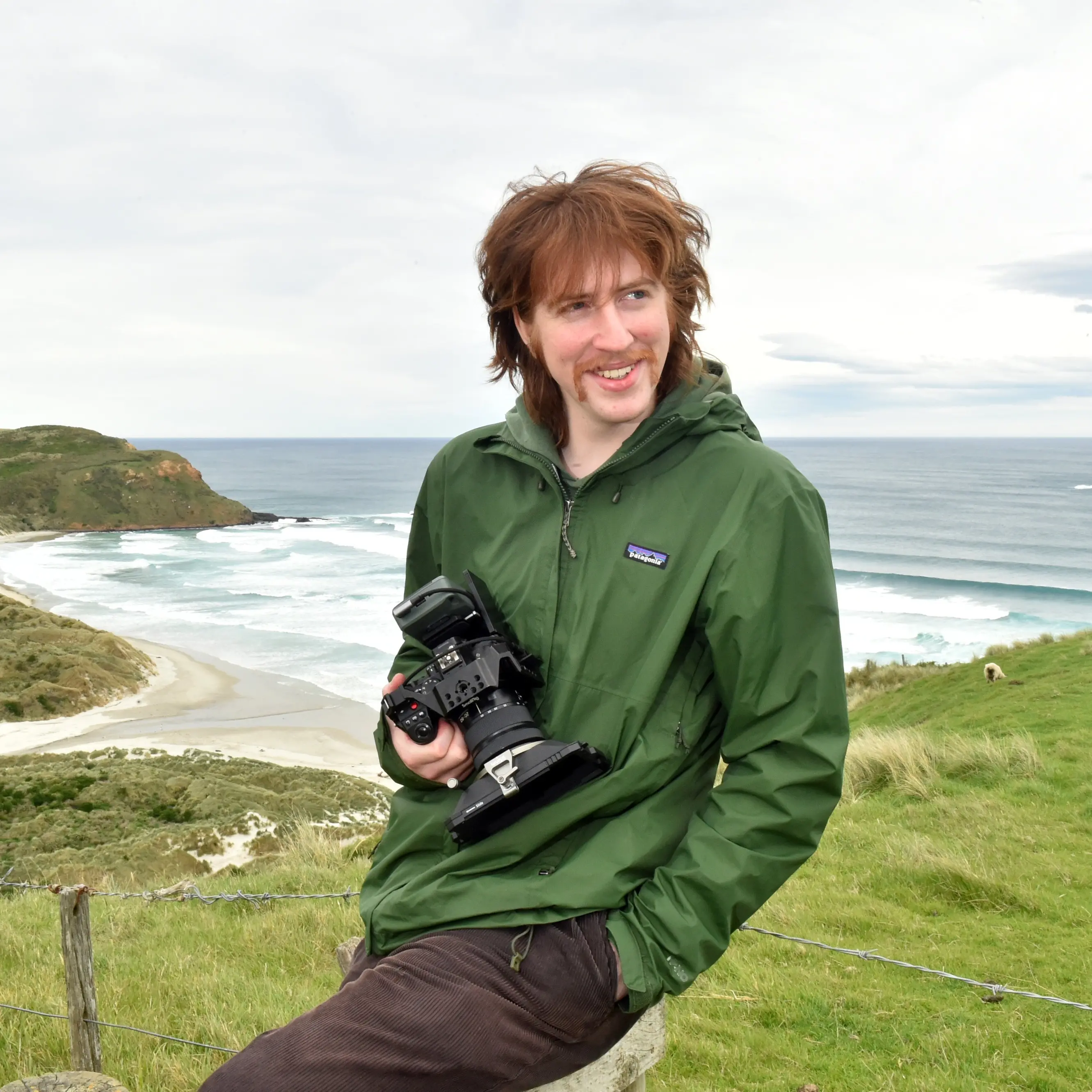 Precarious plight of yellow-eyed penguin captured in Dunedin film-maker’s documentary
