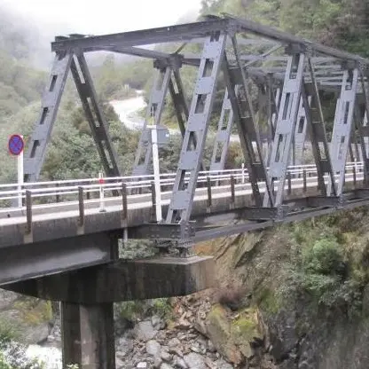 Truck breakdown closes Haast Pass