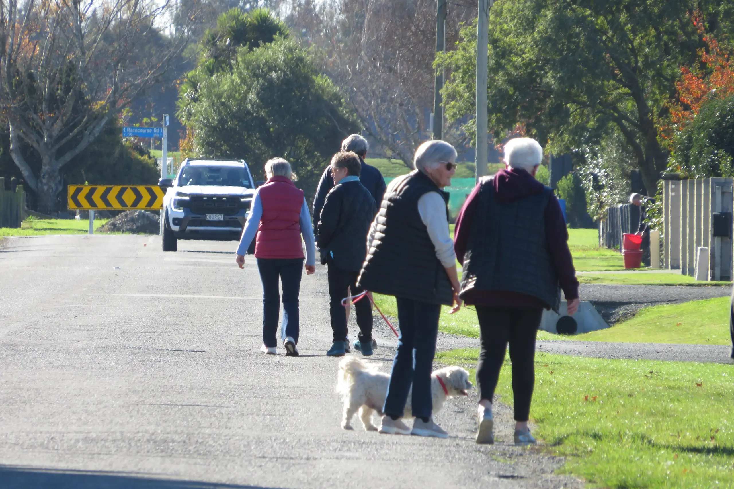 A petition signed by 263 people, including Ashburton District Councillor Phill Hooper, calling for safety improvements and a new footpath on Allens Road has been presented to Ashburton District Council, with questions raised over possible duplicate signatures. Photo: Toni Williams