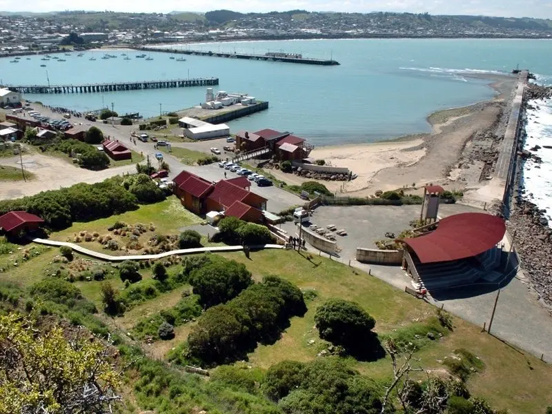 Grim milestone in sight: Deaths of little penguins in dog attacks ‘incredibly frustrating’