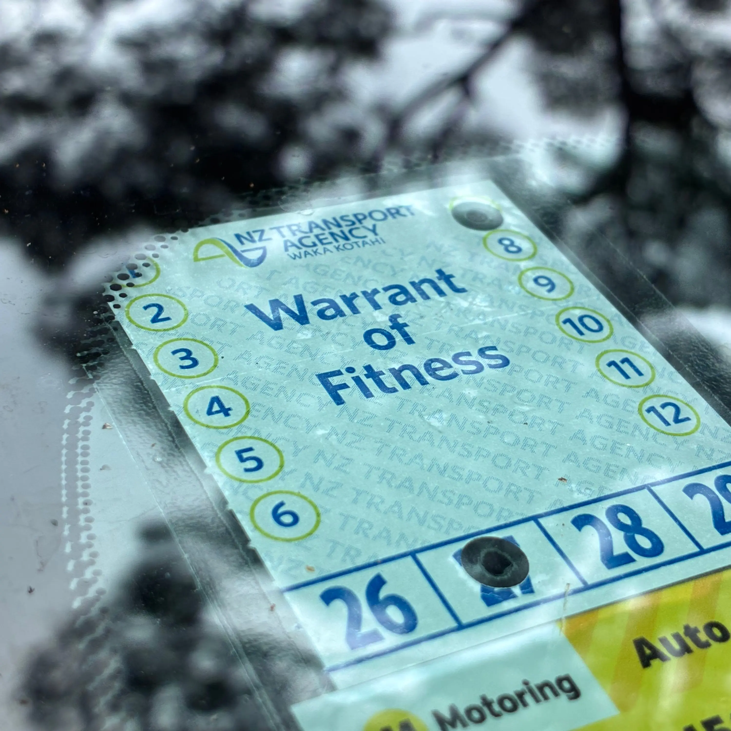 Why your car's Warrant of Fitness may cost less starting November 1