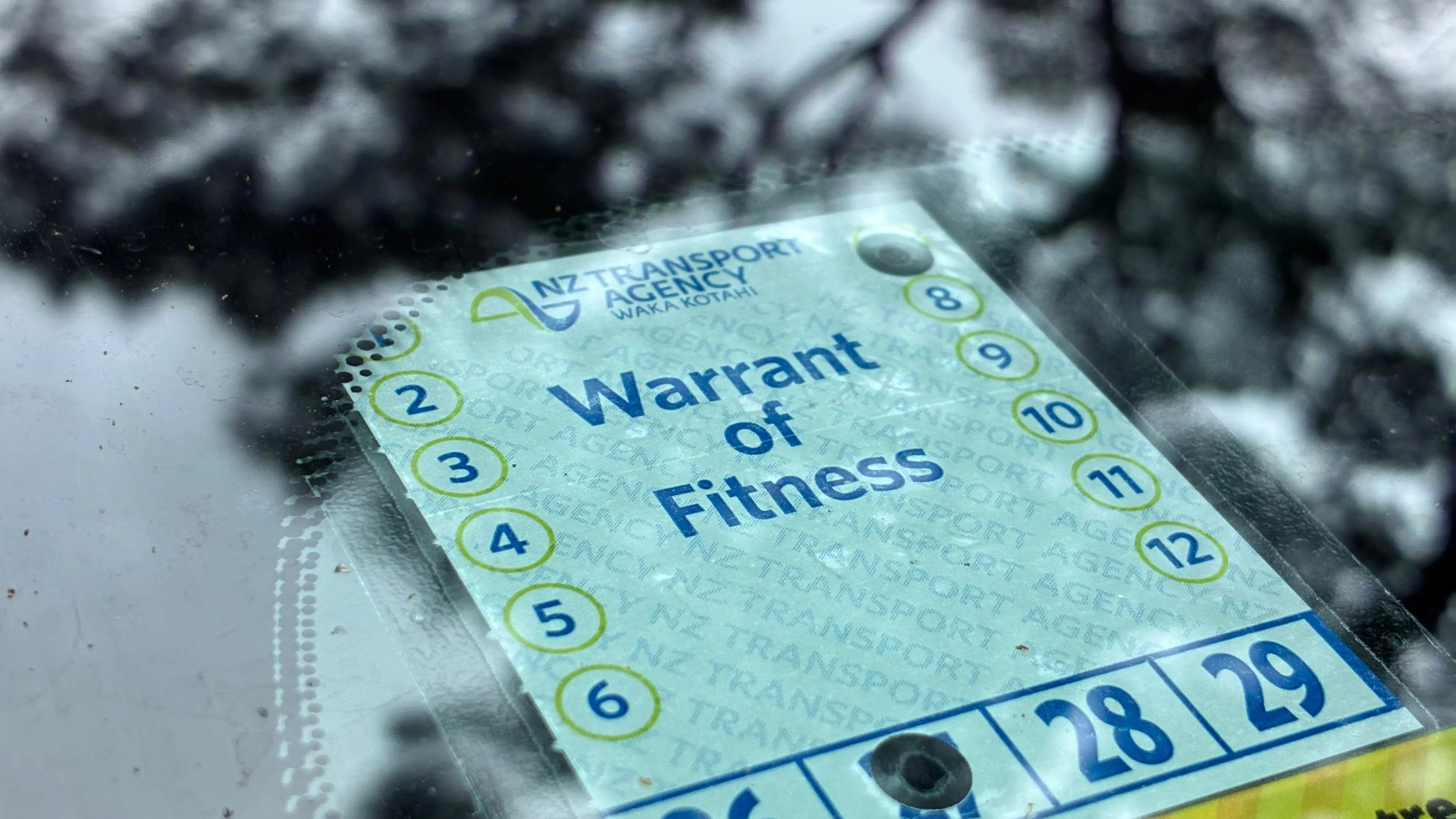 Why your car's Warrant of Fitness may cost less starting November 1