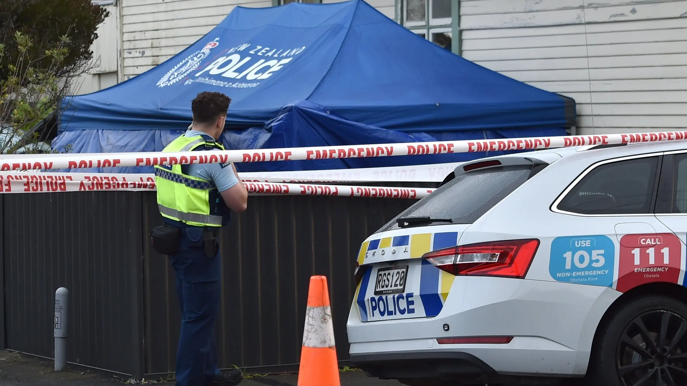 Mentally disturbed Dunedin man told police he was ‘fine’ day before brutal killing with golf club