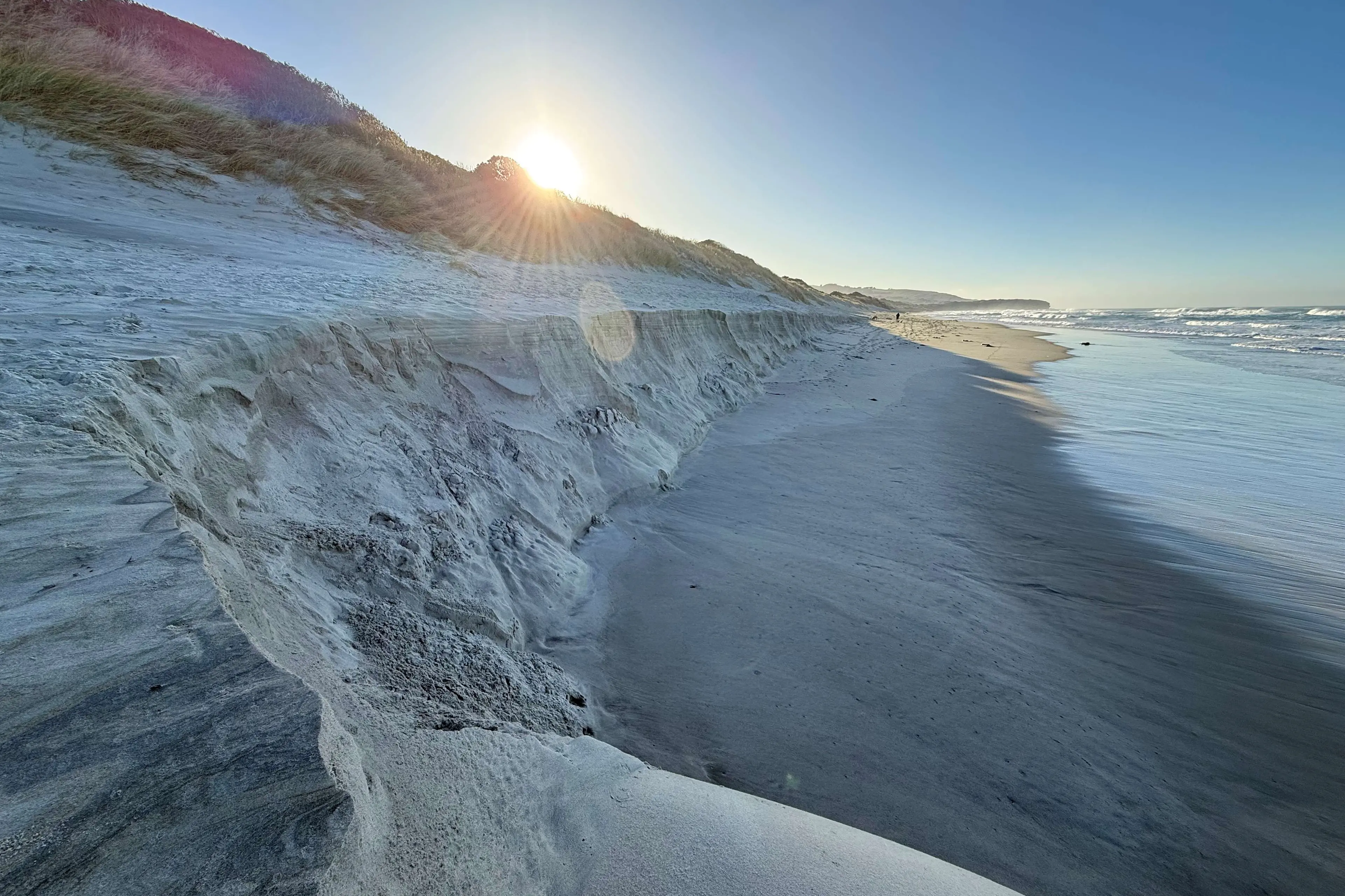 A 2.8m-high erosion scarp has formed approximately 4m from the dune toe in front of the Kettle Park coastal landfill. Photo: Dunedin City City