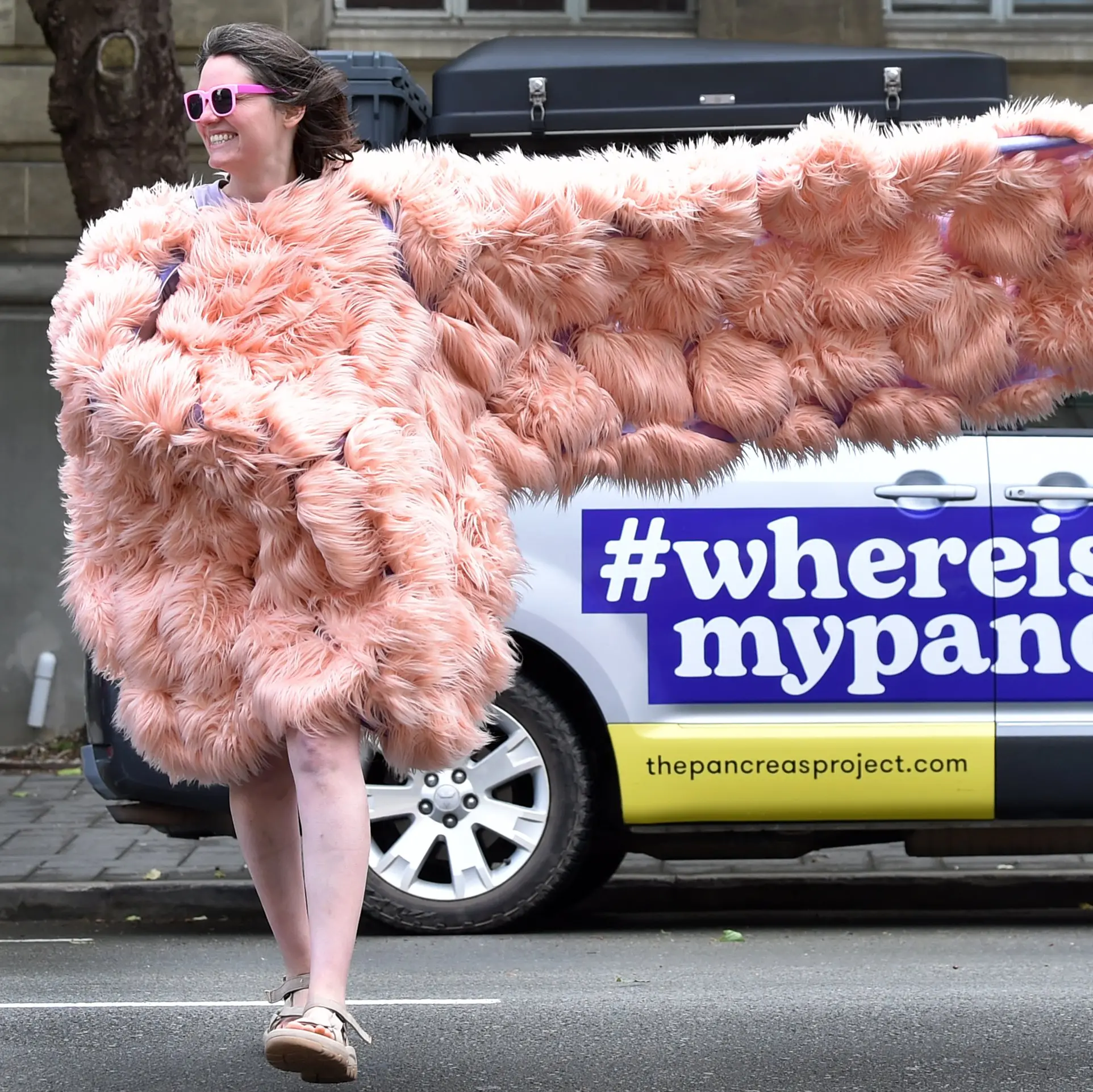 Pancreas: small organ, big attitude