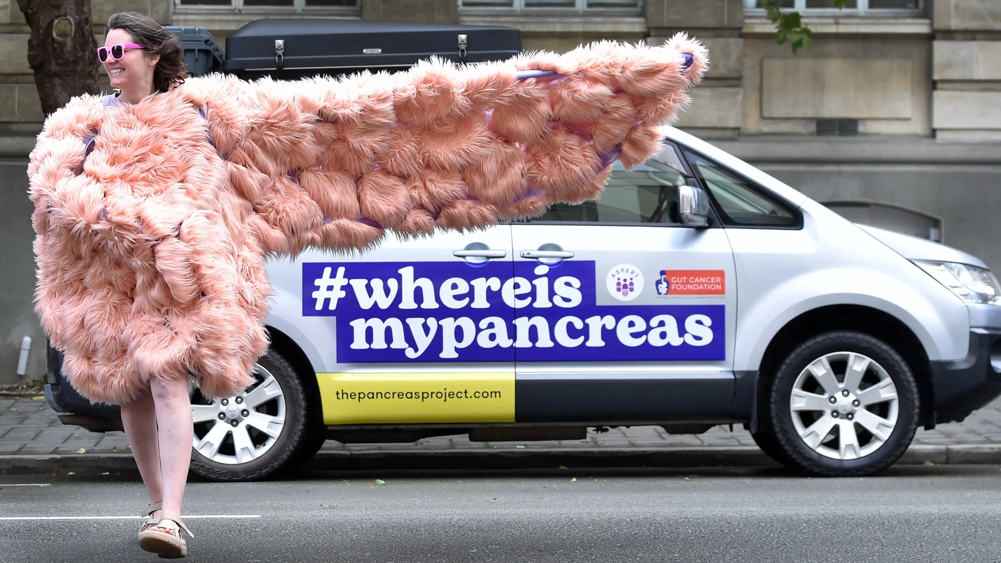Pancreas: small organ, big attitude