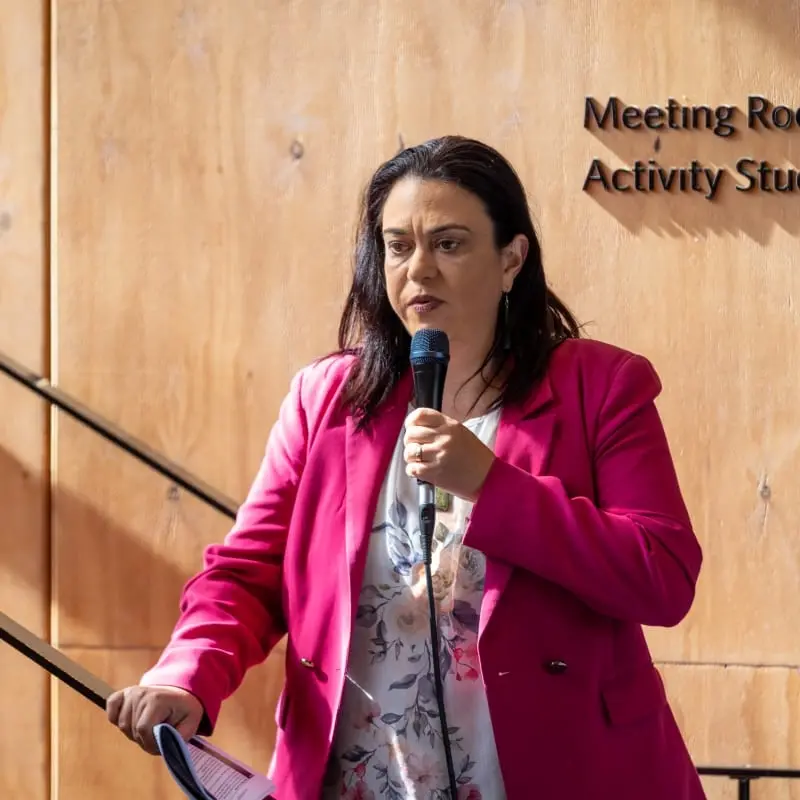 Government shelves proposed system to 'transform' responses to family violence